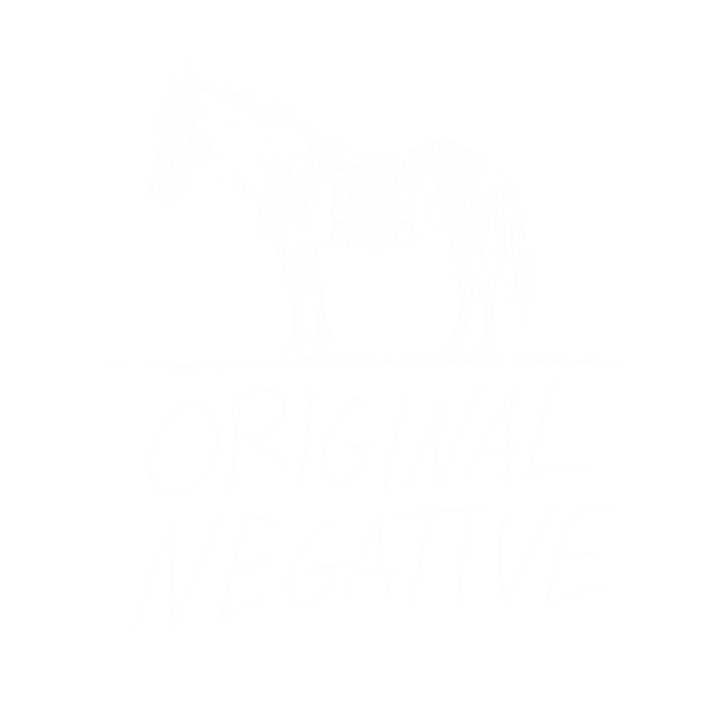 Original Negative